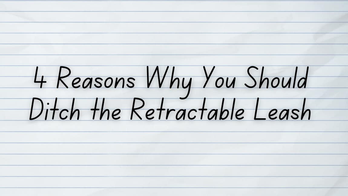 4 Reasons why you should ditch the retractable leash